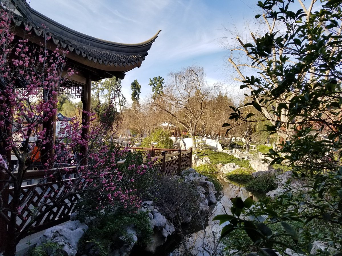 Canine Neurosis tweet media