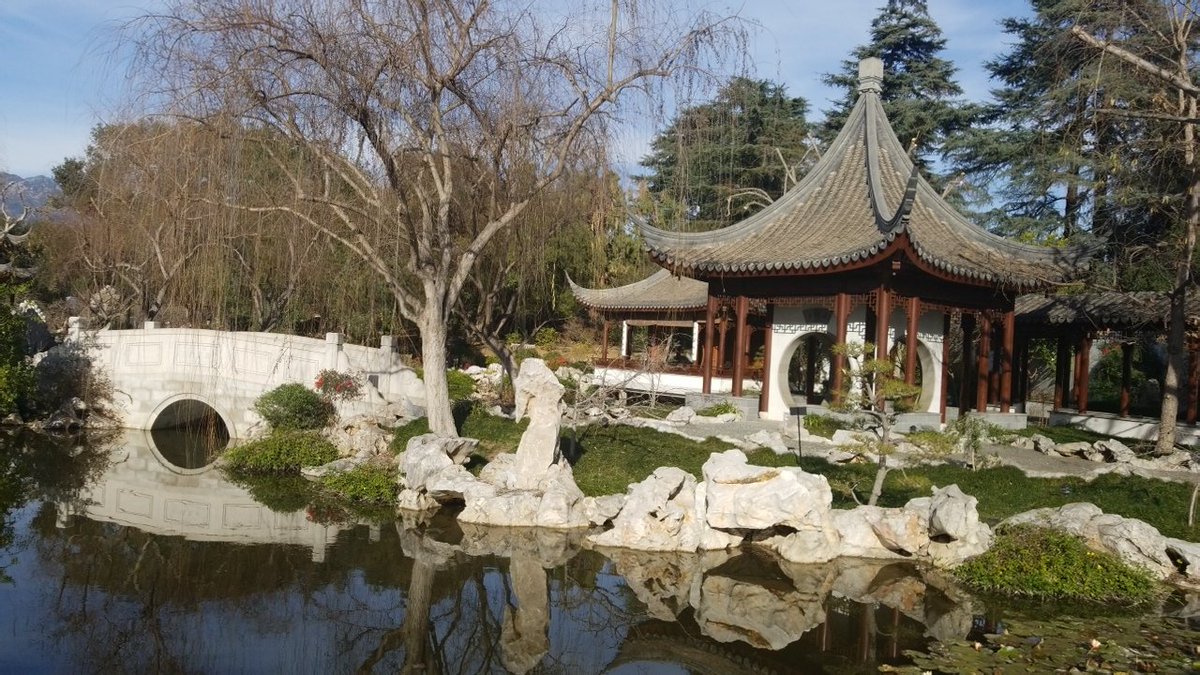 Canine Neurosis tweet media