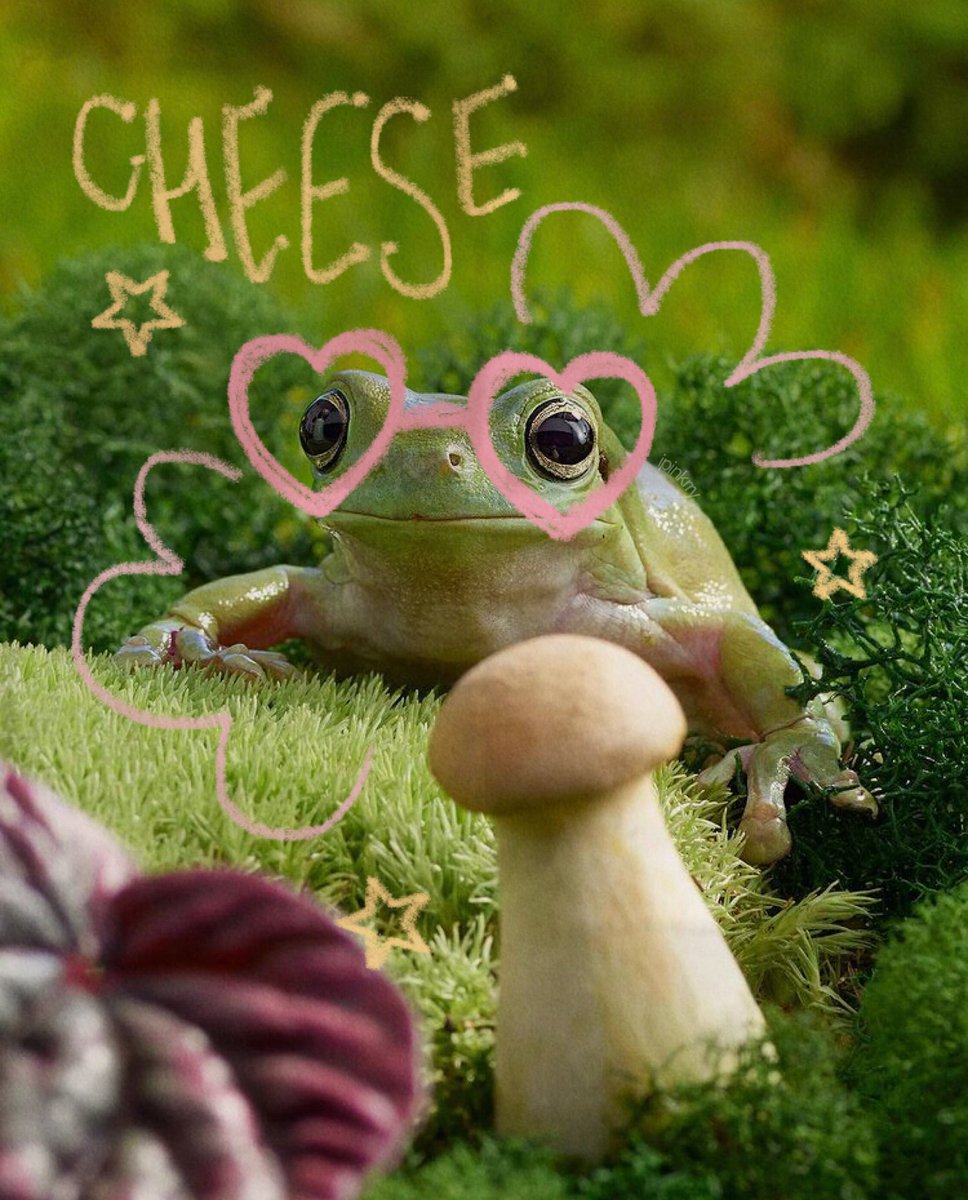 ipinkrry's tweet photo. the froggy!! 🎀🍄🌸🌟 https://t.co/Buvymi9gXt