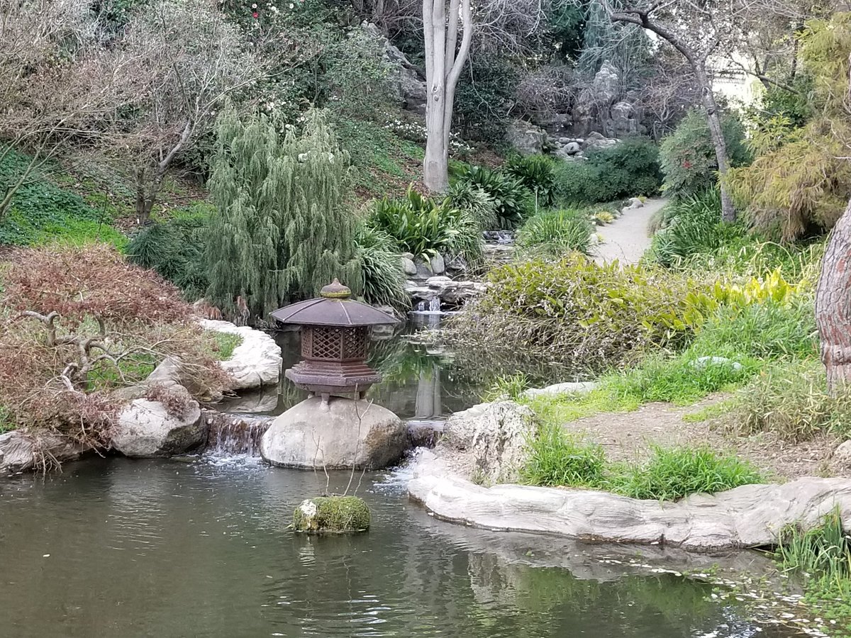 Canine Neurosis tweet media