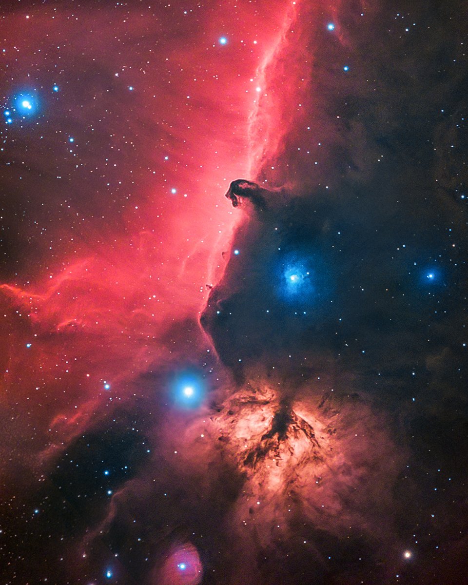 🔭AstroBackyard tweet media