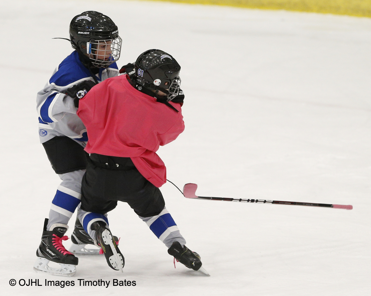 ojhlimages's tweet photo. Members of the Northumberland Nighthawks U8 Team play a short scrimmage game during the 1st period Intermission here in Cobourg, Ontario @CougarsHockey @OJHLOfficial https://t.co/PCPhV7Hppl