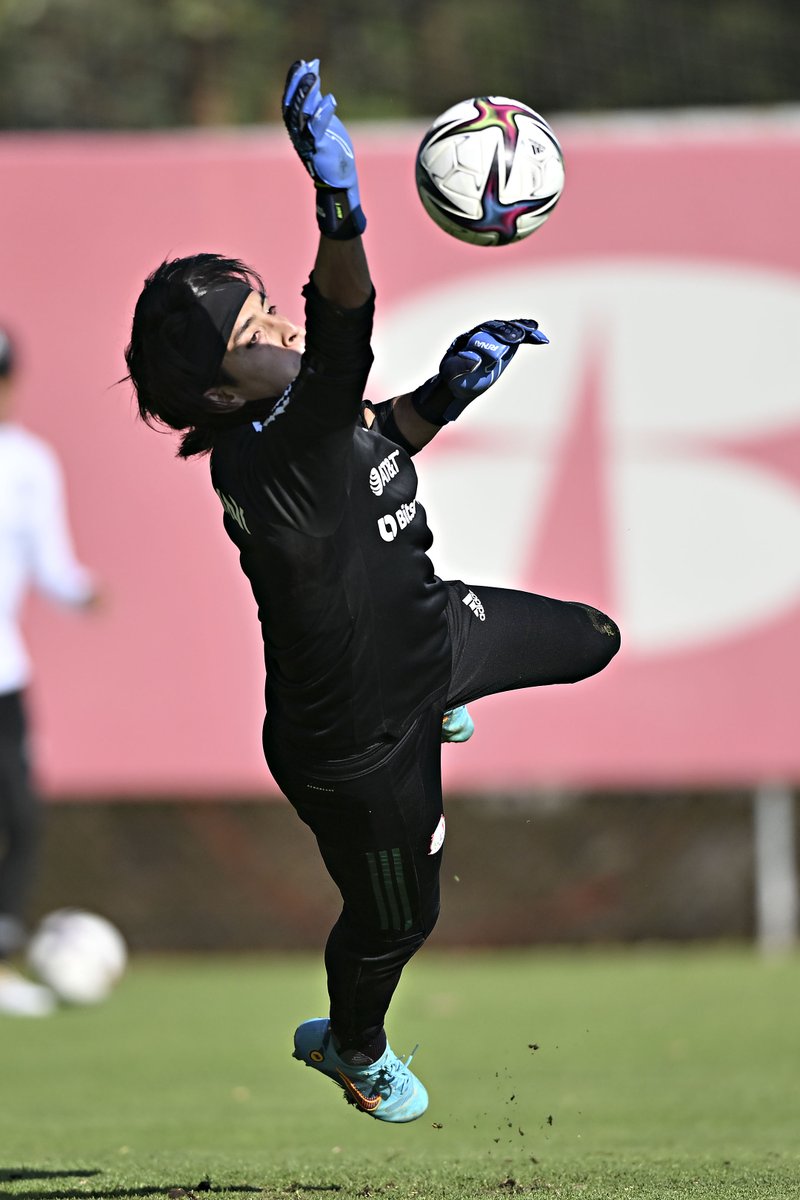 miseleccionmx's tweet image. ¿Aterrizó @AcevedoCarlos9? 🤔
¡Nosotros lo seguimos viendo en el aire! ✈️ 🇲🇽 🔥

#HechoDeLosMexicanos | #FMFporNuestroFútbol