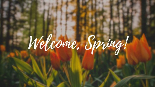 Polytek360's tweet photo. 'Tis the Season ☀️🌼🌺🌻

Spring means warmer weather &amp; the start of our busy schedule 💪 We're excited to get back at it, helping AB/SK/BC find concrete solutions for nearly a decade! 🏡🏦⛪....🚚💨

Click the Weblink in our Bio;
❇️Call/Text 780-802-1934 for your FREE QUOTE❇️ https://t.co/x2ThO3zj56