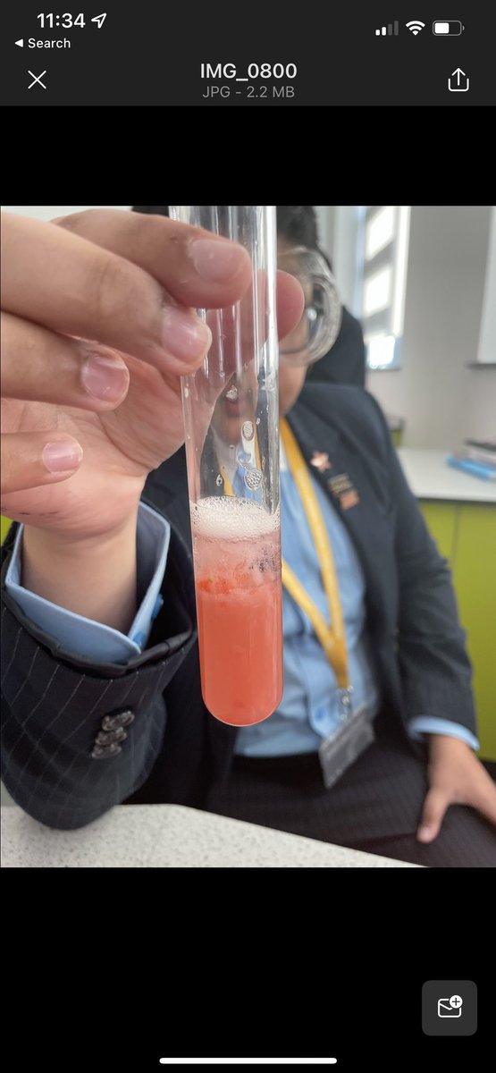 EBLAeast's tweet image. Students extracting DNA from strawberries 🍓 during British Science week 2022. @StarAcademies #BritishScienceWeek2022