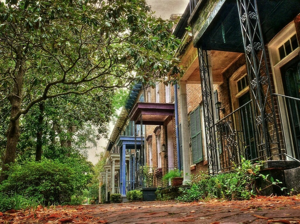 VisitSavannah's tweet photo. Savannah street view. 😍  #VisitSavannah [📸 @adams_views_imaging] 
.
.
.
#savannah #savannahga #savannahgeorgia #historicsavannah #downtownsavannah #historichome #exploregeorgia #history #southern #southerncharm #southernbeauty #southernliving #iloves… https://t.co/AY2UBRKAdO https://t.co/JbNehnzzB2