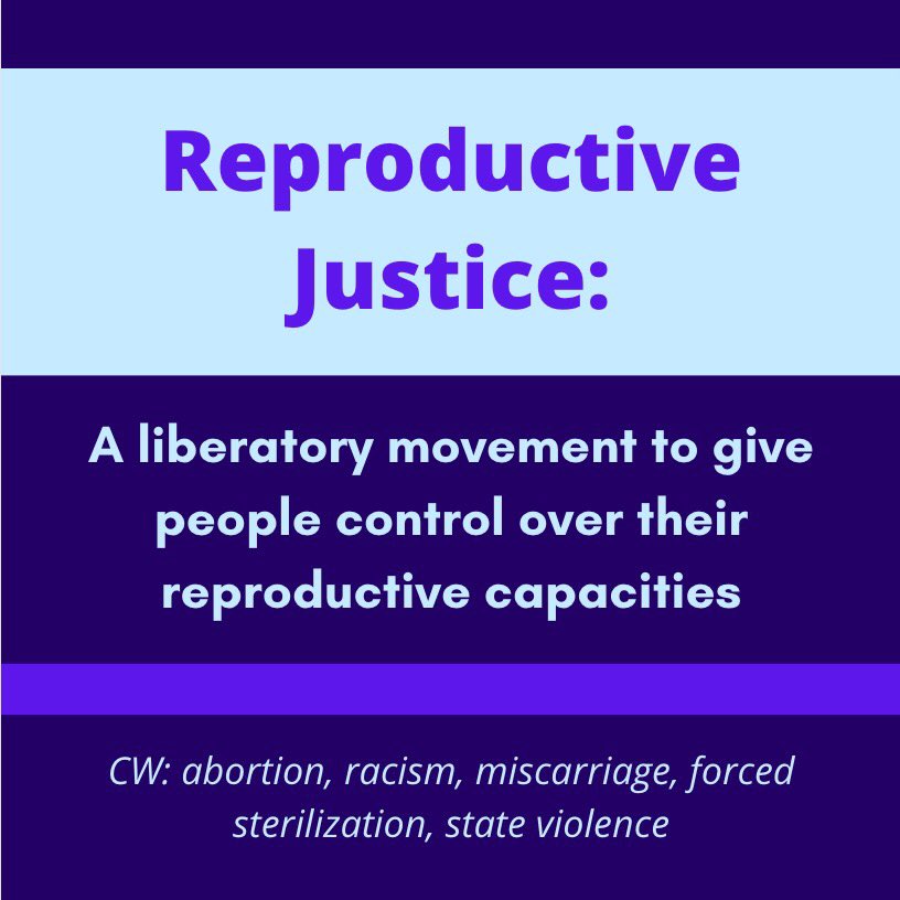 SocialistsWM's tweet photo. Today's presentation on reproductive justice: https://t.co/cFaZtsYnM0