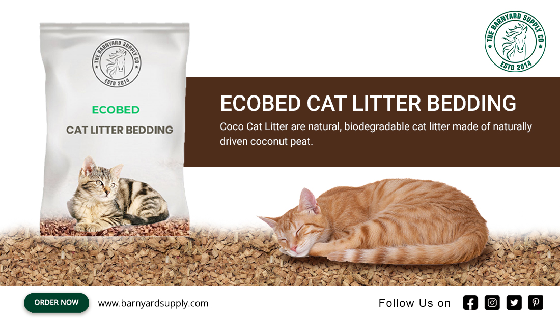BarnyardSupply's tweet photo. Coco Cat Litter are natural, biodegradable cat litter made of naturally driven coconut peat.

Shop Now: https://t.co/Qr7w61hXg0

#cats #Lovecats #catlovers  #catsamerica #floridacats #California #EcoBedcatlitterbedding #Naturefriendly #Thebarnyardsupplyco #Oakland #California https://t.co/iOkJamdEgx