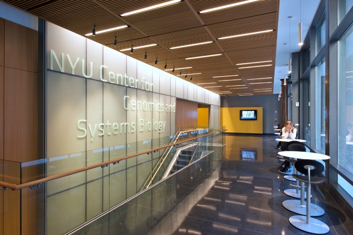 Genome_Jane's tweet photo. Our Genomics Core Facility at the Center for Genomics &amp; Systems Biology @NYU is looking for a new Manager. Come join this vibrant academic community working on genomics of flies, worms, viruses &amp; parasites! https://t.co/KtiSQ5tWqk https://t.co/7dsFSGCHKz