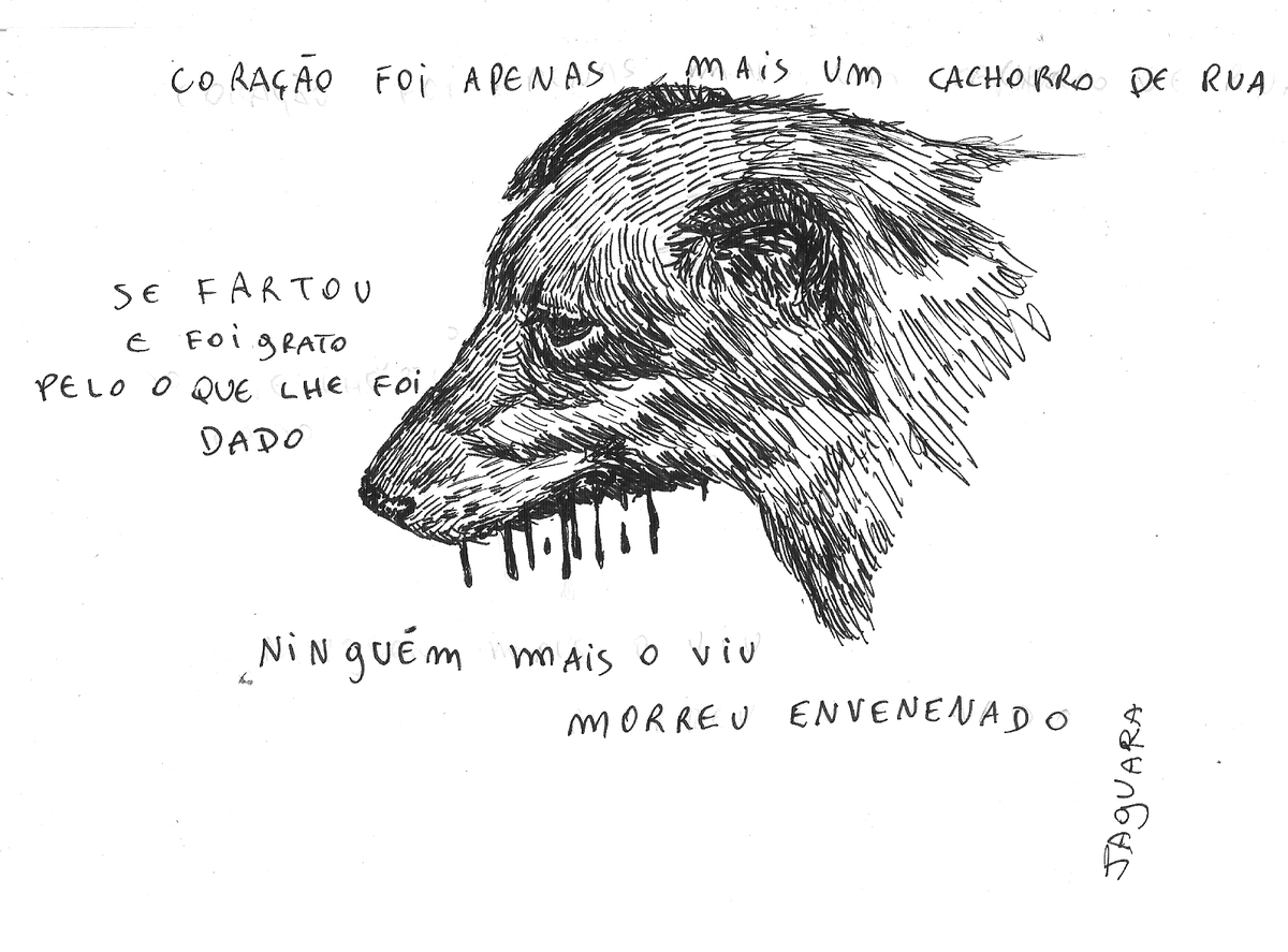 JAGUARA tweet media