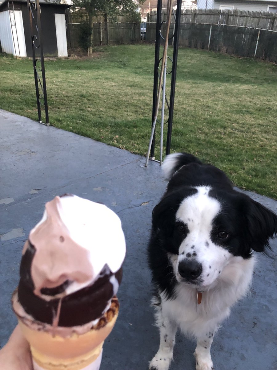 Sorry Brooks…I don’t share my ice cream! 🍦