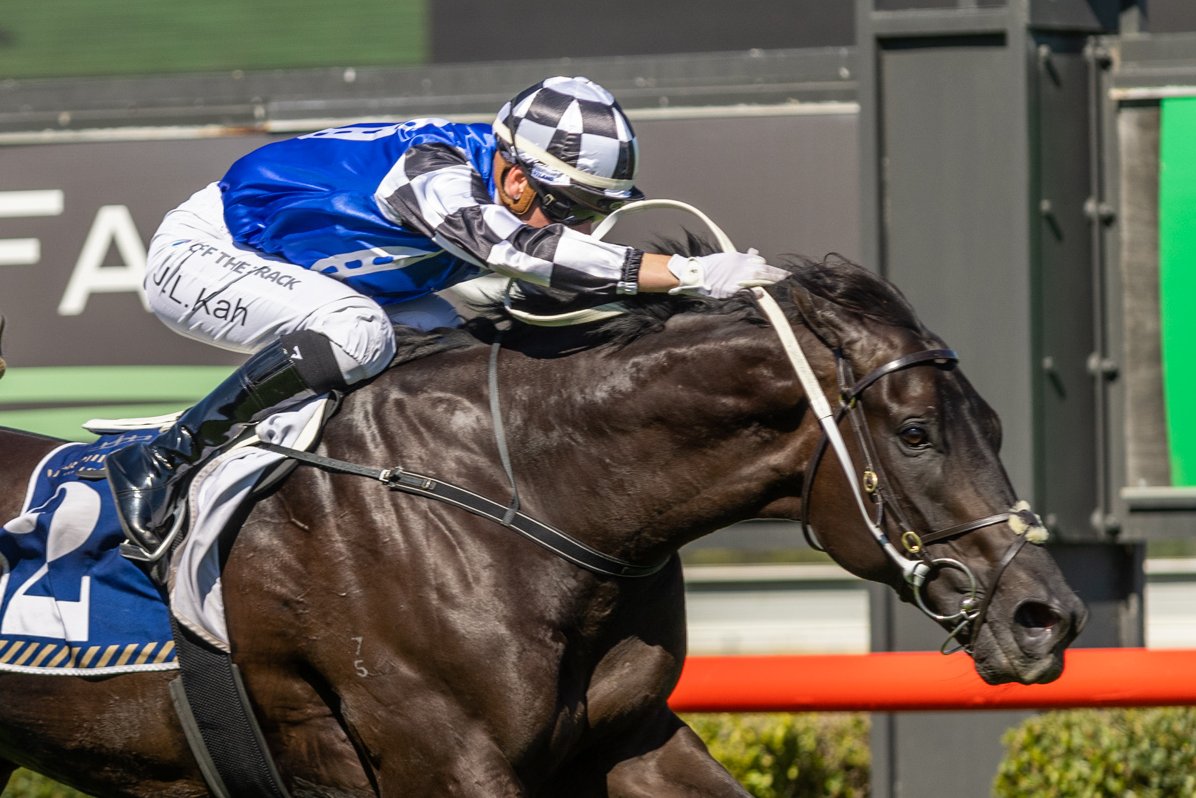 Racing SA (@racingsa) on Twitter photo .<a href="/Clarken_Racing/">Clarken Racing</a> pair Ironclad and Second Slip will take part in a track gallop between races 4️⃣ and 5️⃣ tomorrow at Strathalbyn! .<a href="/Clarken_Racing/">Clarken Racing</a> pair Ironclad and Second Slip will take part in a track gallop between races 4️⃣ and 5️⃣ tomorrow at Strathalbyn!