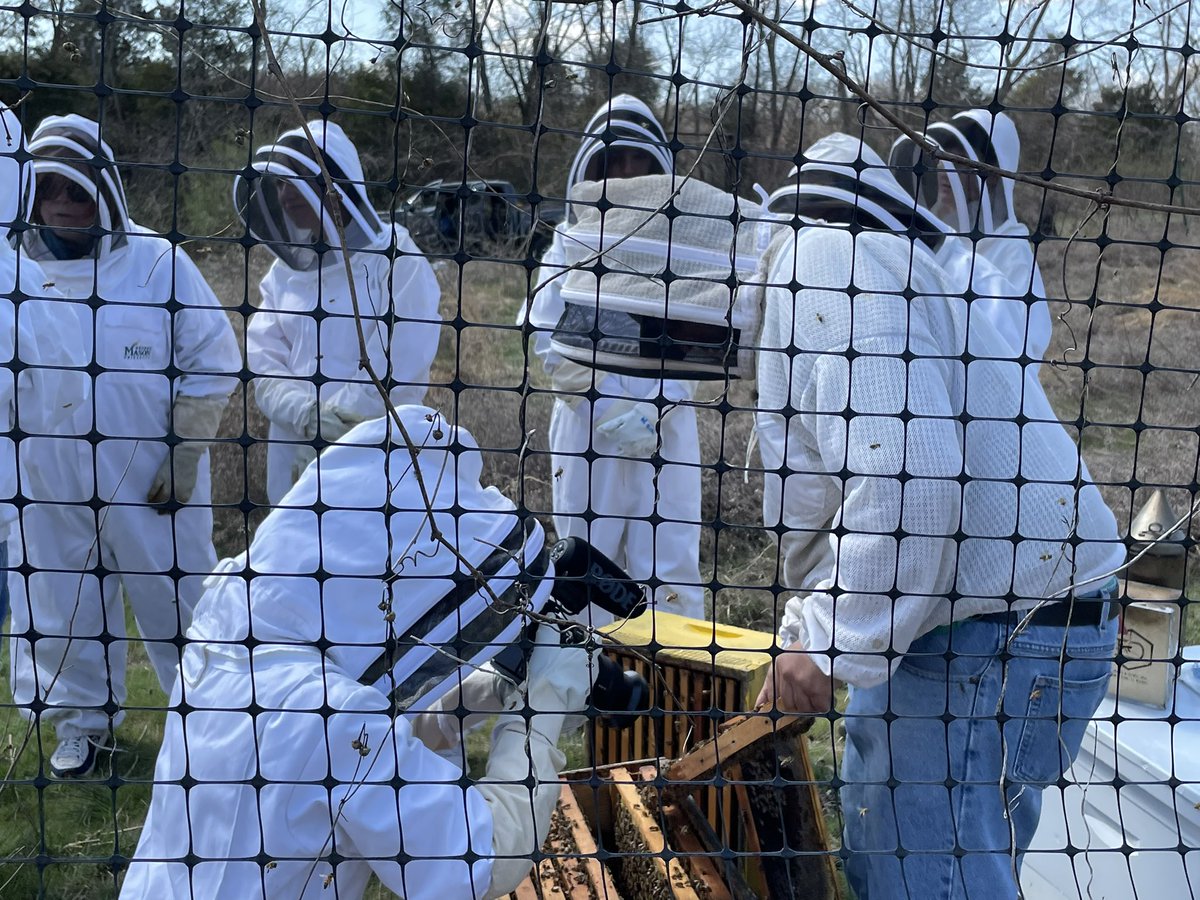 Ok, so working on a story about our incredible @GMUForensicSci program @GeorgeMasonU Bees 🐝🐝🌺 can help solve crimes? What a fascinating transdisciplinary approach @GMU_COS Another example of #coolscience @masonulscitech