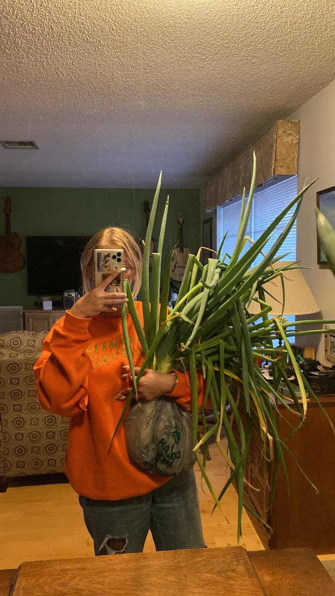 ch3rry_1im3ade's tweet photo. bout time i picked my scallions lol https://t.co/1Ijio9CXdC