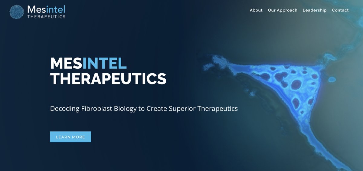 Mesintel Therapeutics tweet media