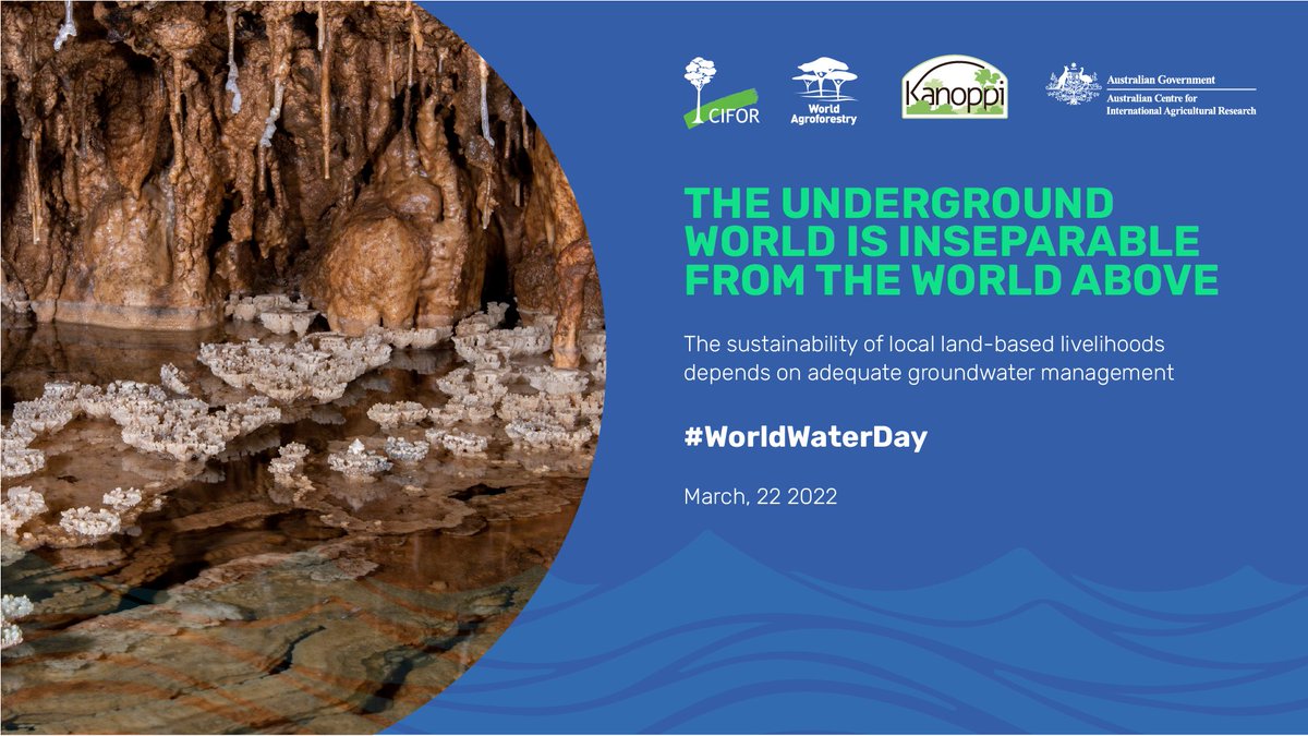 ACIARAustralia's tweet photo. 💧 Sustainably managing #groundwater was part of the research to foster a landscape approach in the ACIAR-supported Kanoppi2 project in Indonesia 🇮🇩 with @CIFOR &amp; @ICRAF. Learn more 👉 https://t.co/e8M6juMI1i  #WorldWaterDay

@bsilhk | @dubesaustralia 

Photo Muhammad Sidik/CIFOR https://t.co/UZfsLViIMI
