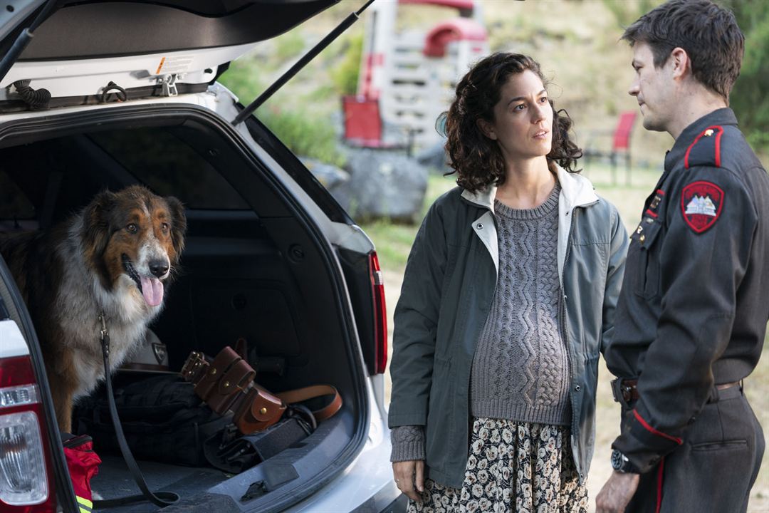 TiempoLibreEC's tweet photo. ¿Eres de lo que llora cuando mira una película de perros? El Rescate de Ruby, una historia basada en hechos reales, es una película que no puedes perderte #cine #elrescatederuby #peliculas #perros 🐶 https://t.co/T4h1Olru8h https://t.co/rpM0R75bGu