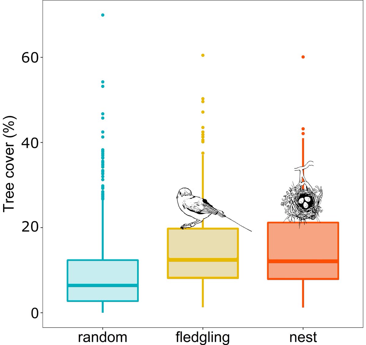 grayvireo's tweet photo. We also found that habitat associations were largely similar between nesting & #postfledging stages in this population—oneseed junipers 🌳 are the sole #GrayVireo nesting substrate in this pop, & fledglings were located in junipers in almost 90% of observations 5/7 https://t.co/JMniFFq4Jg