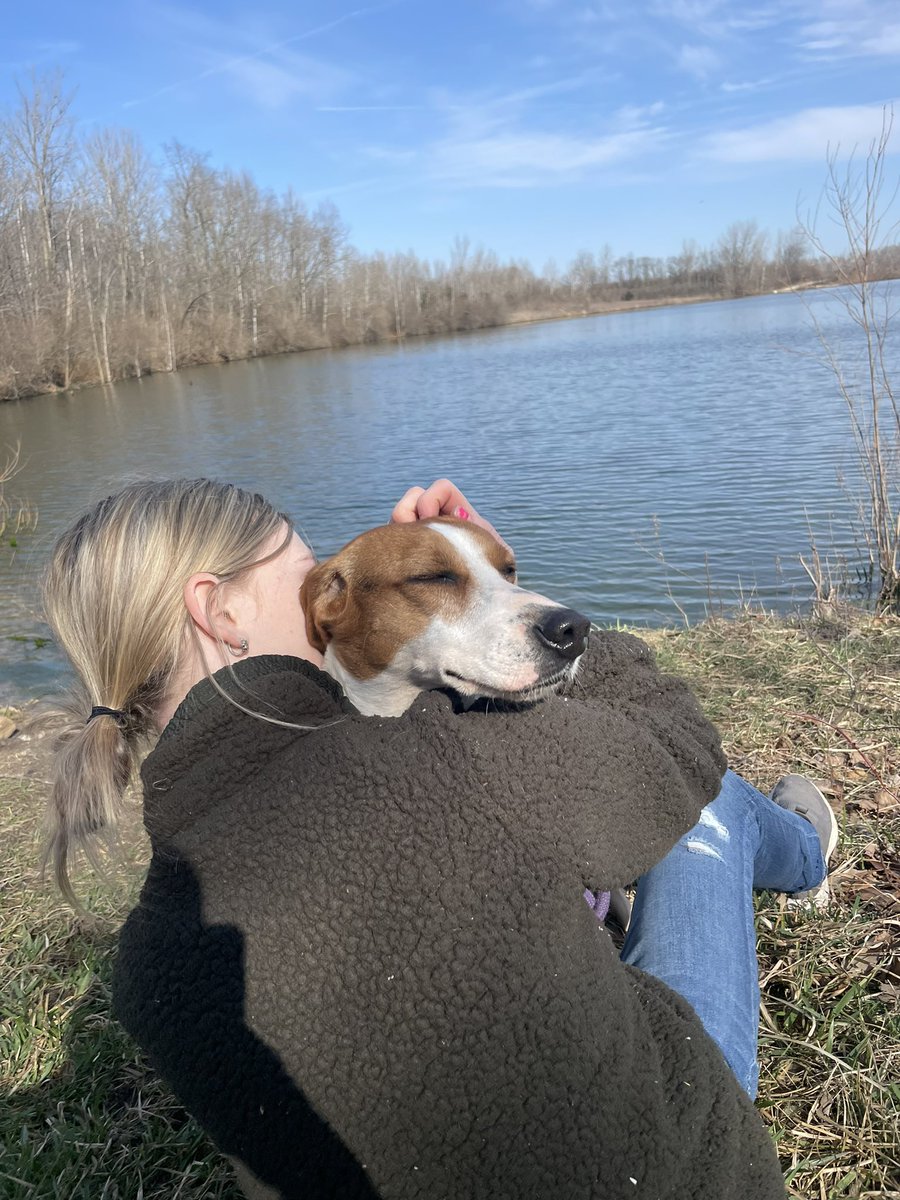kyleerae_1's tweet photo. This is Nadiya. She needs a home! She would do well in a home with cats or dogs. Spread the word ❤️ apply at https://t.co/yCBzHKKvHN 💕 https://t.co/62bH0epqBj
