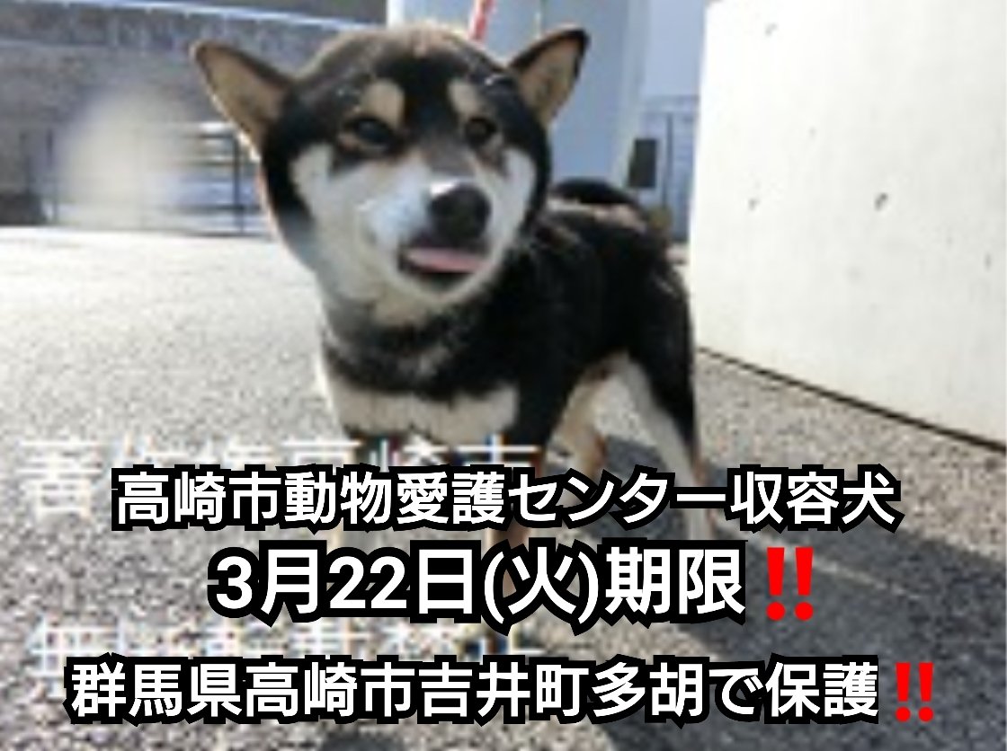 まろ眉 Twitter Search Twitter まろ眉 Twitter Search Twitter