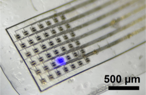 JSAP_official's tweet photo. ～APEX Latest Spotlight article～

https://t.co/4kQgWn4P0X
Adhesionable flexible GaN-based microLED array film to brain surface for in vivo optogenetic stimulation
Appl. Phys. Express 15 046501

#jsap
#APEX
#MicroLED
#Optogenetics
#FlexibleDevice
#TransferTechnology https://t.co/4DjNBSB1sy