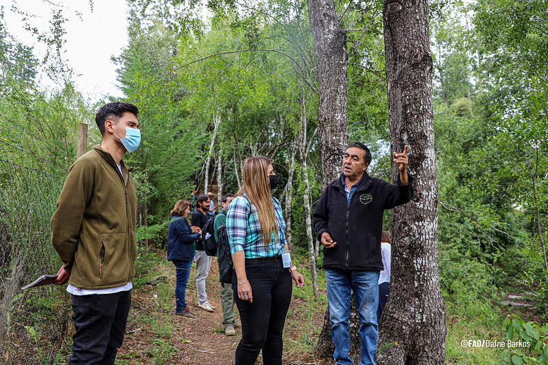 FAOAmericas's tweet photo. 📡 Webinar #CambioClimático @UNFCCC  @theGEF 

🌳 🌴🌲
Transparencia de los datos forestales para la #AcciónClimática. Experiencias y lecciones aprendidas.

🗓️23 de marzo de 2022
⏰ 14:30 🇮🇹 | 10:30 🇨🇱🇦🇷🇧🇷 | 8:30 🇨🇴🇵🇪| 7:30 🇲🇽🇬🇹

¡Inscríbete!👇
https://t.co/AHfZ13SCLC https://t.co/8Scgc0wcET