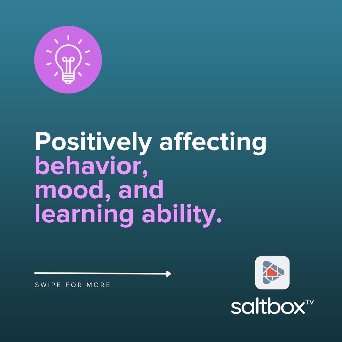 Saltbox TV tweet media