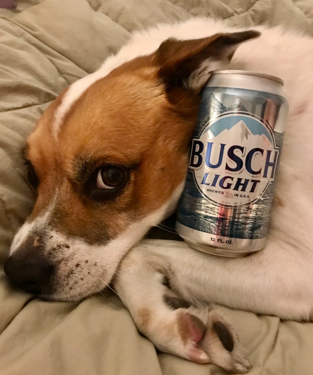 jennielp's tweet image. #BuschCTOcontest - DannyBoy loves him some BudLight