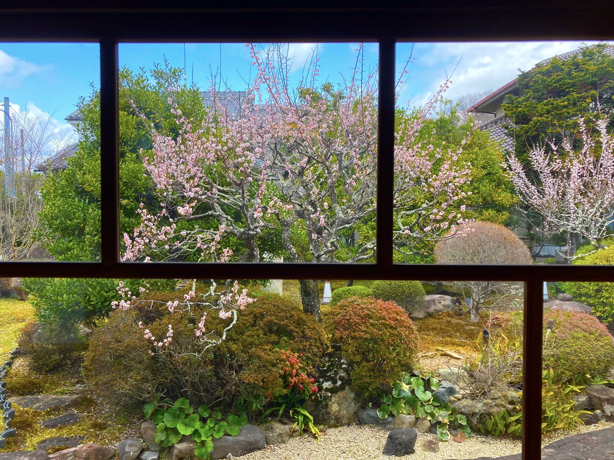 hirokonosho9's tweet photo. 二十四節氣の一つ春分を迎え
お彼岸も中日を過ぎました

自然は立春で息を吹き返し、再生した大地が甦り
上を向いて新たな日々を積み重ねていく
清々しい氣を発していきます🌱

今までコツコツとまいてきた奇跡の種が
元氣いっぱい芽吹き出していく時期✨

さぁ‼️
雨の恵みを受けて始めていこう‼️ https://t.co/BmJlWAXTaJ