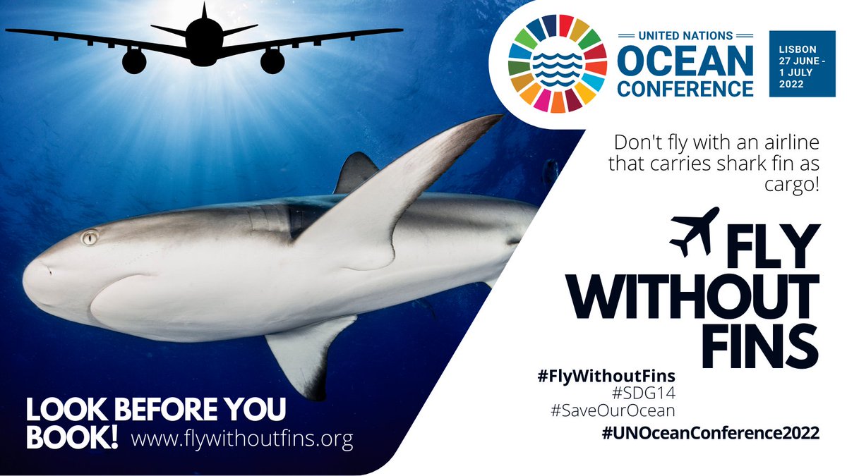 Are you planning to fly to the #UNOceanConference in Lisbon? Make sure to look before you book: flywithoutfins.org
<a href="/British_Airways/">British Airways</a> takes responsibility for #SDG14 - they #FlyWithoutFins! <a href="/AerLingus/">Aer Lingus</a> please be like them and stop shipping #sharkfin as cargo &amp; #SaveOurOcean.