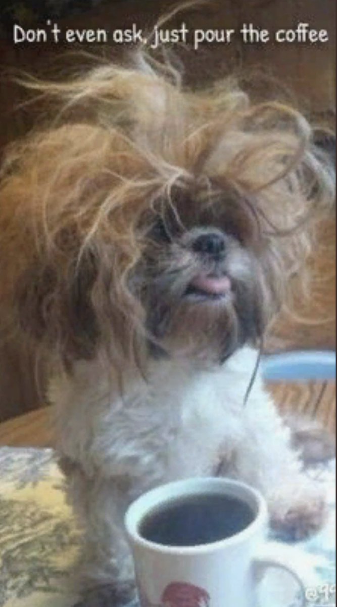 Morning… did u get enuf sleep?