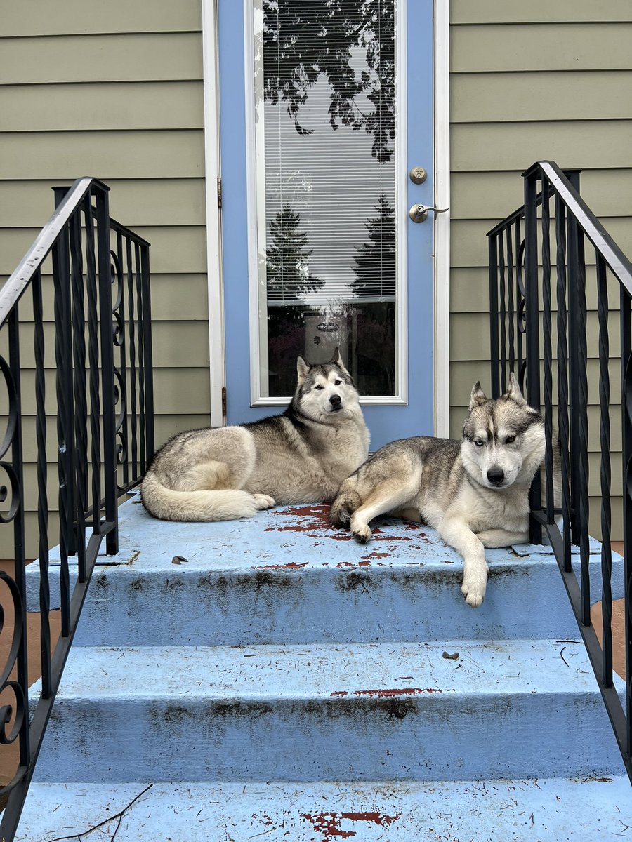 BongBabes | Monthly Bong Giveaway tweet media