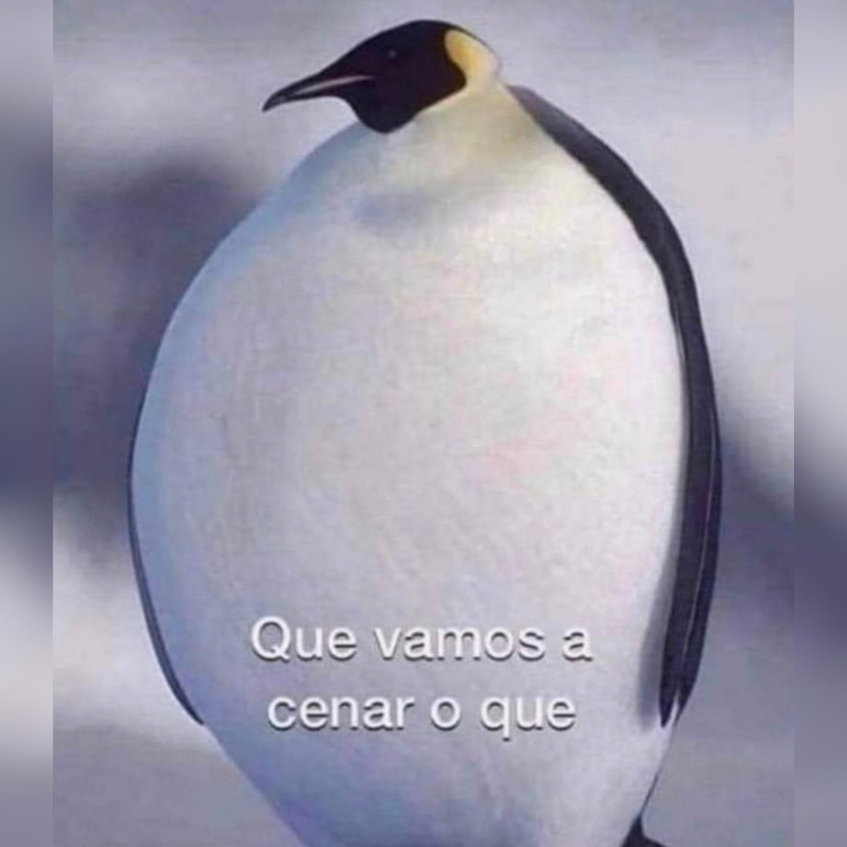 Yo después de comer 6 veces al día.