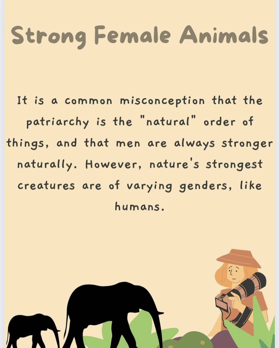 stjenviro's tweet photo. Here are some fun facts about some of  the queens of nature! 🦁✨☀️ https://t.co/RPJIQhFoIw