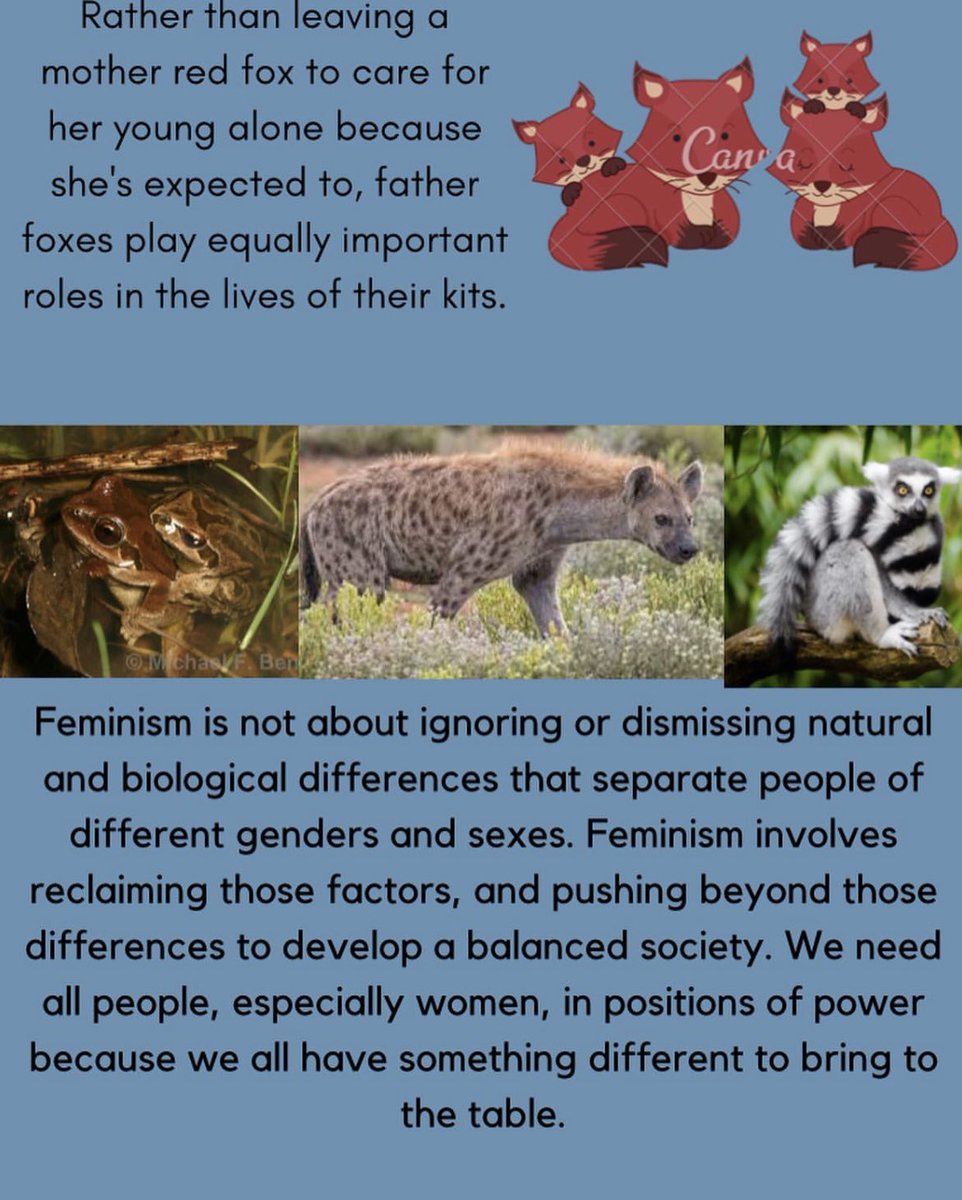Here are some fun facts about some of  the queens of nature! 🦁✨☀️