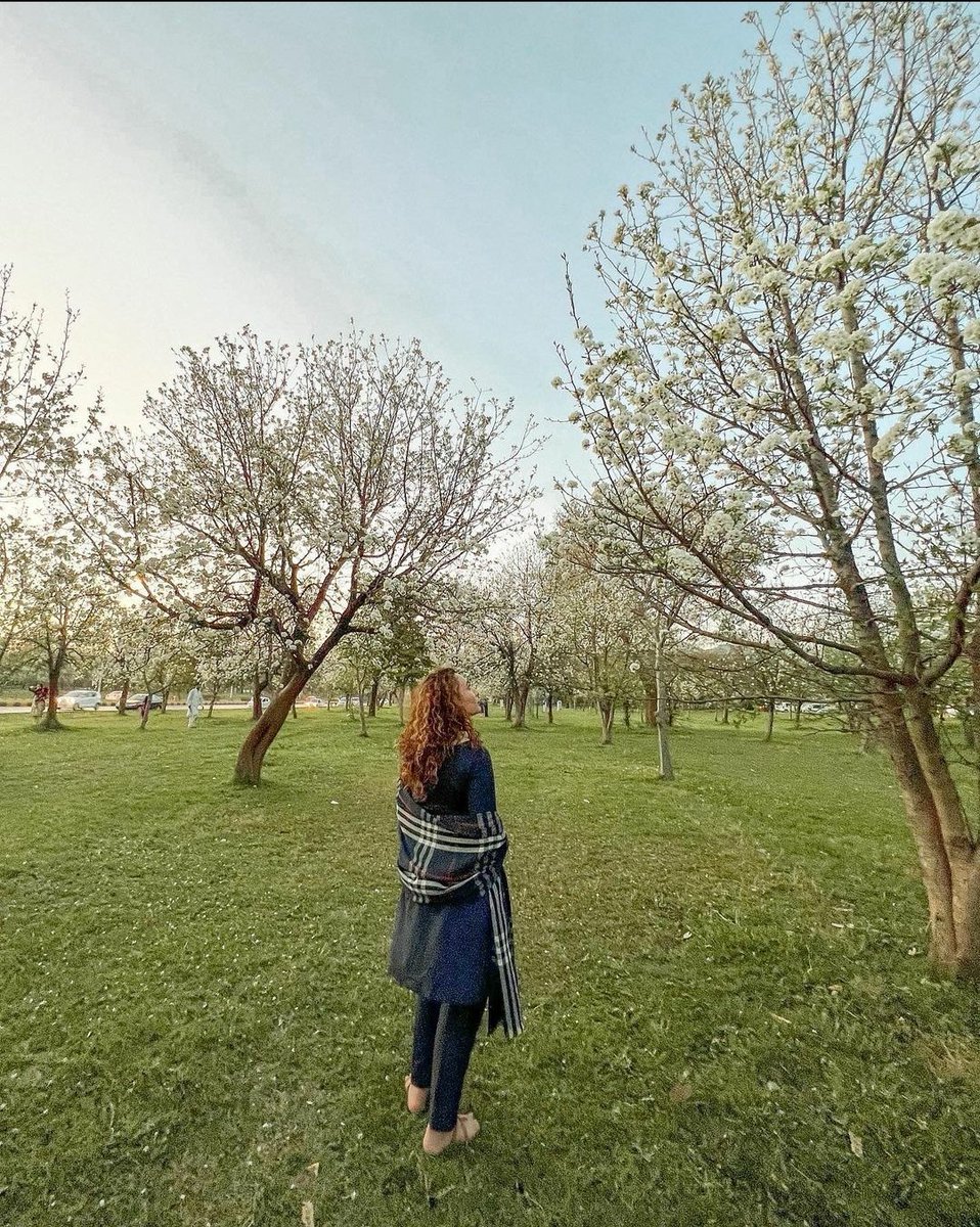 Bloosm in islamabad 

instagram.com/aminaazahid