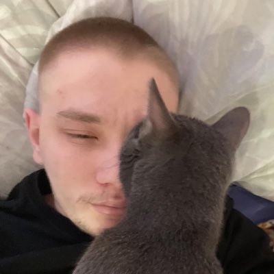 сосеух tweet media