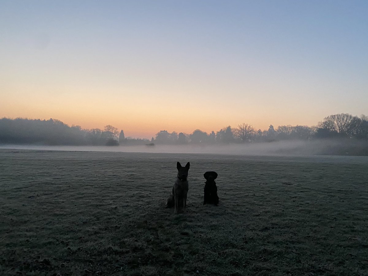 amydeemo's tweet photo. Its been a busy set with lots of miles driven, numerous jobs attended, both dogs deployed & worked but unfortunately no significant results. 12 days off now with a huge to do list & a fantastic looking weather forecast โ๏ธ๐ถ๐ #BusySet #InItToWinIt #BookingOff #BringOnTheSunshine https://t.co/YiotfoQiel