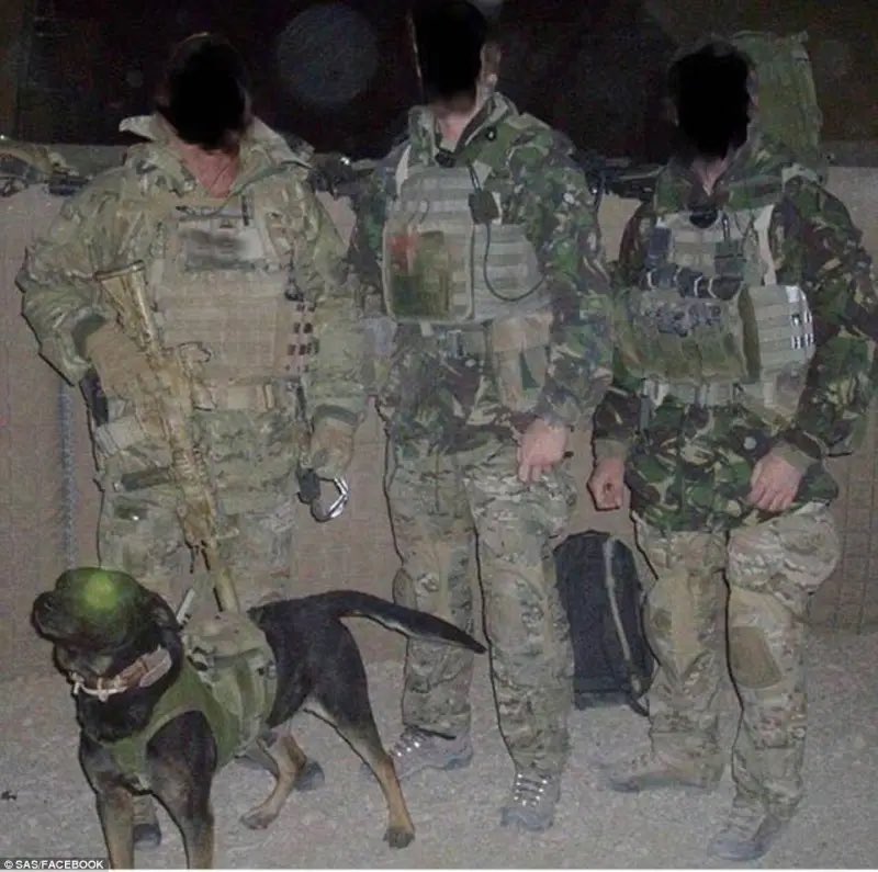 MilitaryHub01's tweet photo. ✨ SAS✨🔥 https://t.co/AHQFcJeNN3