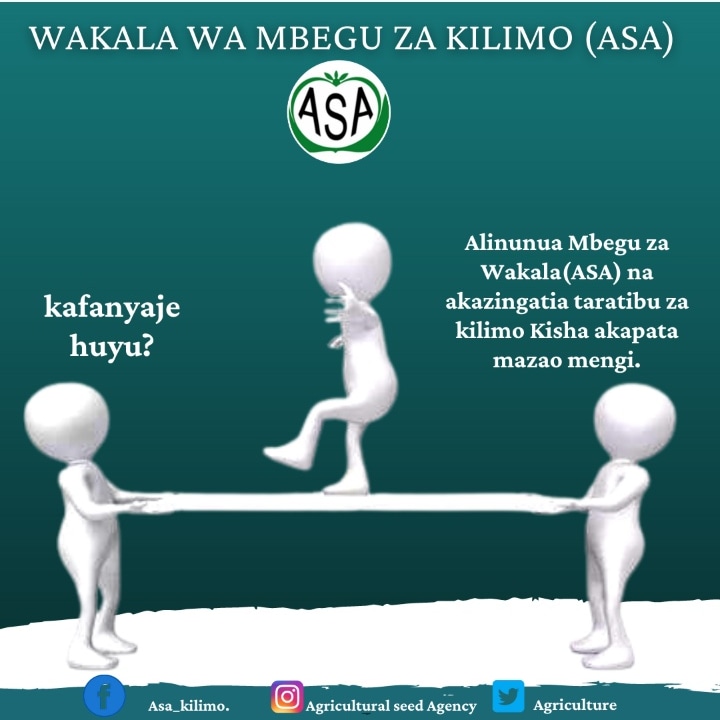ASA_KILIMO's tweet photo. ASA KAZI INAENDELEA https://t.co/fFvAWT6Aqw