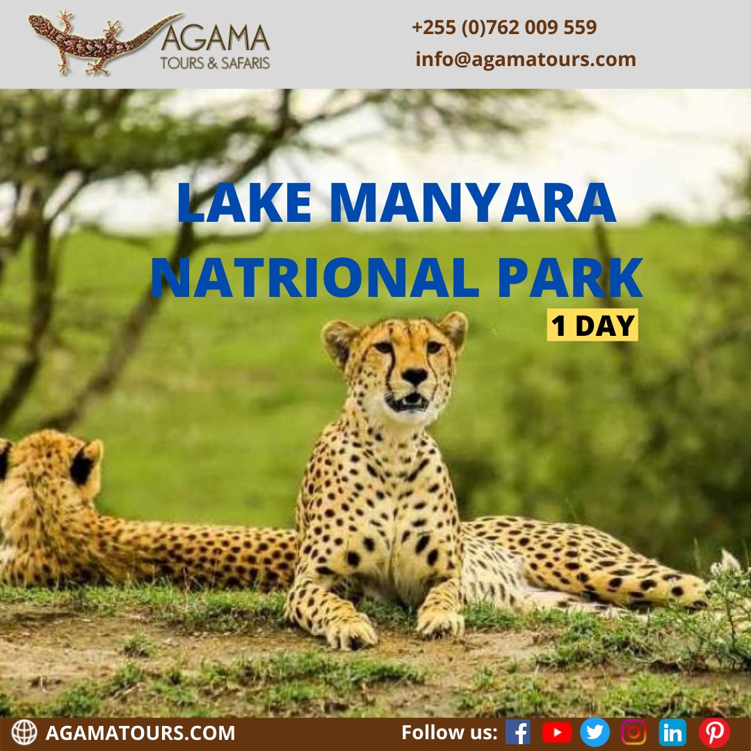AgamaTours's tweet photo. Lake Manyara National Park is a protected area in Tanzania's Arusha and Manyara Regions, situated between Lake Manyara and the Great Rift Valley.
#tanzania #safari #africa #lakemanyara #travel #nature #wildlife #manyara #adventure 
For More Details; https://t.co/cACDJS5LP3 https://t.co/b3dY1rxVXV