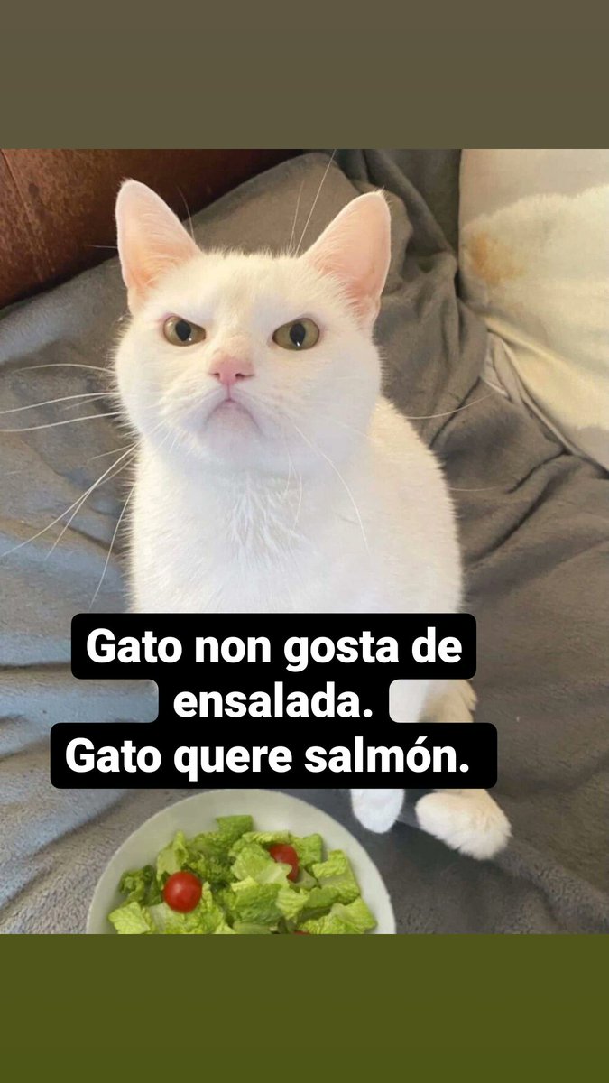dietistarealist's tweet photo. #TiMato https://t.co/sUpeqznCcC