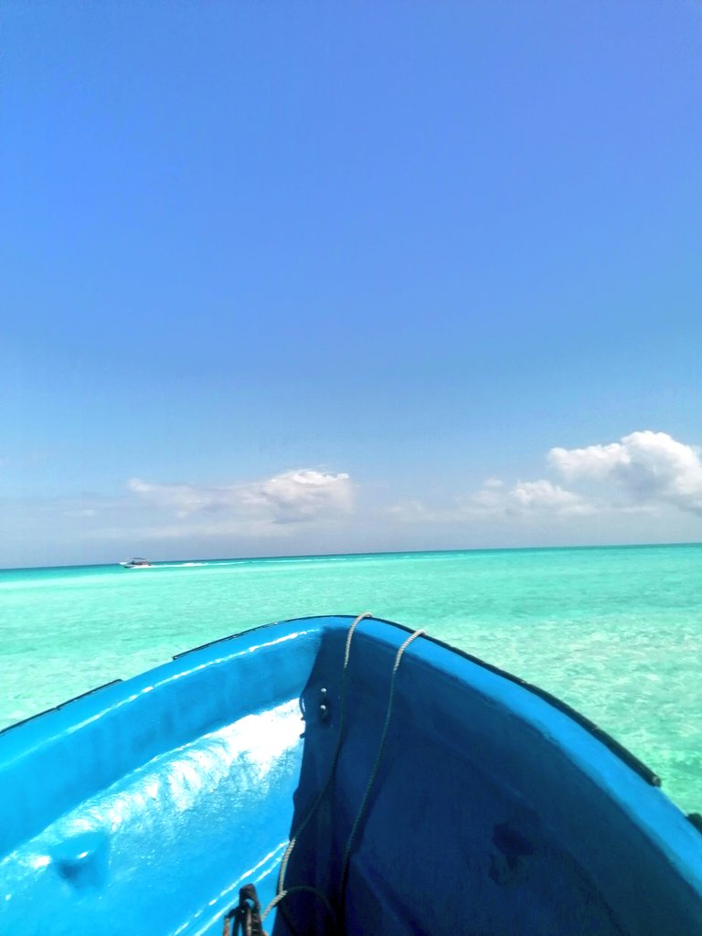 sameera__p's tweet photo. Where I'd rather be https://t.co/UTQKRNrakb
