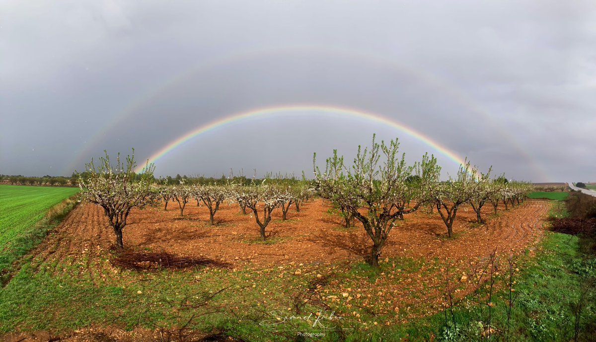 samuel_re's tweet photo. Una pausa tras las lluvias en los alrededores de @motidelpalancar 

@ecazatormentas @elcampoCMM @tiempobrasero @ElTiempoes @ElTiempoA3 @ElTiempo_tve #motilladelpalancar #arcoiris #eltiempo https://t.co/VeHzkVRunq