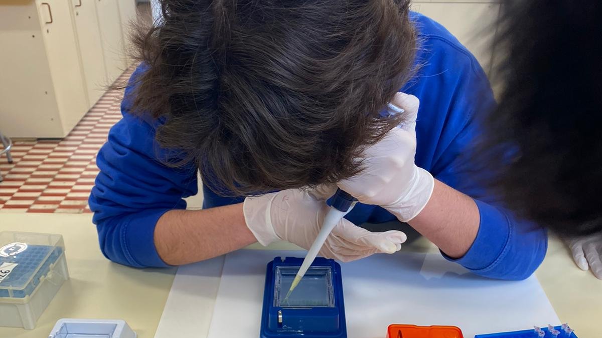 LCATMon's tweet photo. #CienciaCiudadana La Prof. Pepa Juan nos envía imágenes de la Práctica #CitizenFlyLab #MelanogasterCTF que están haciendo los estudiantes de @ies_cavanilles https://t.co/4NAeOsDare