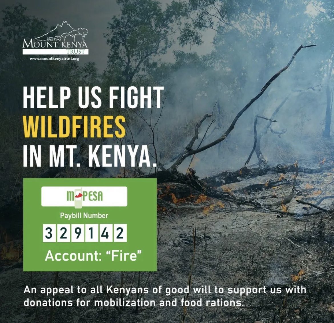 Here’s how you can help donate for the #ForestFires #MtKenya mountkenyatrust.enthuse.com/cp/52a95/fundr… M-Pesa PayBill: 329142 Account: Fire Photo credits @andreyjosephs