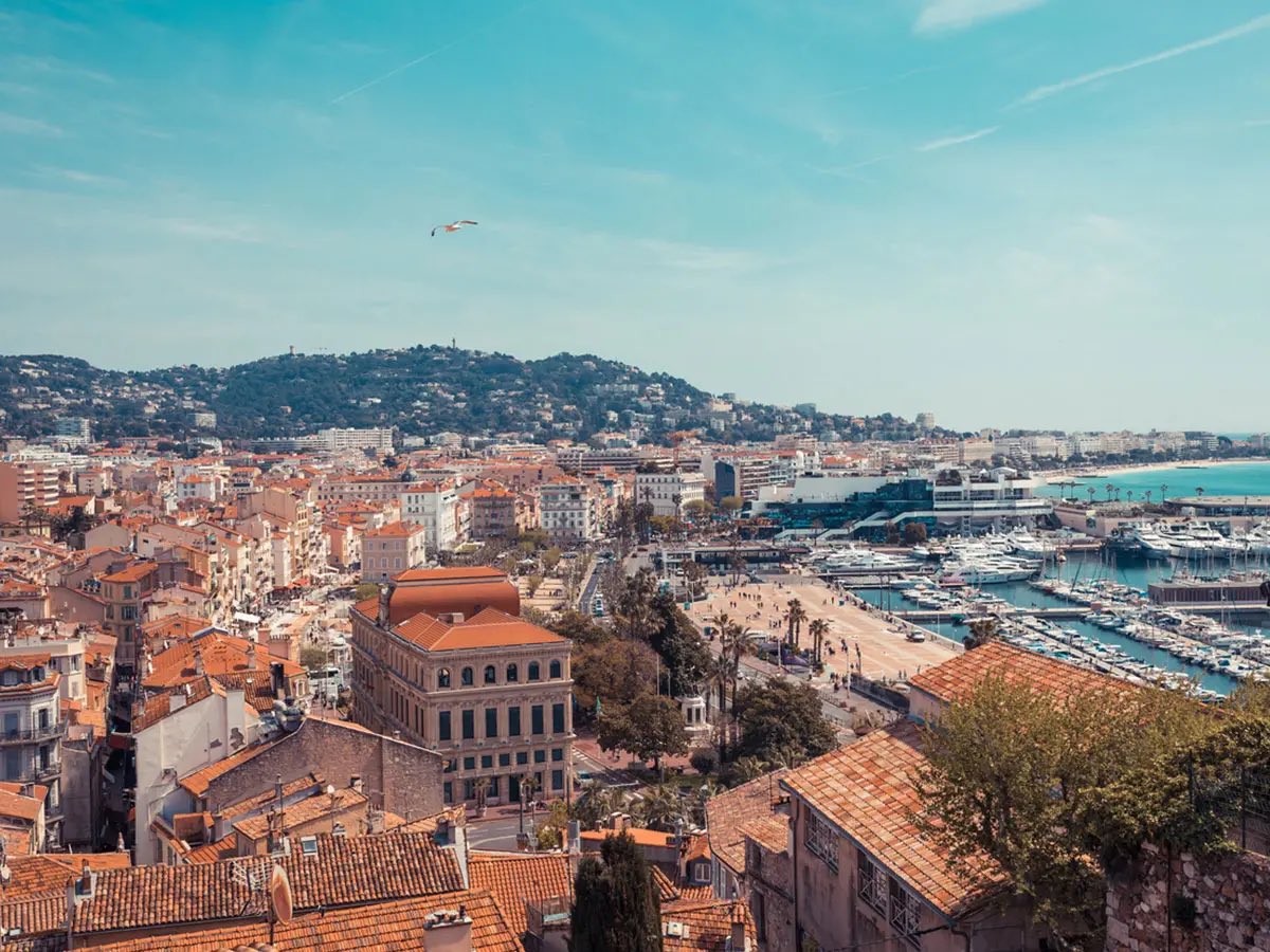 France Cryptos 🔗 tweet media