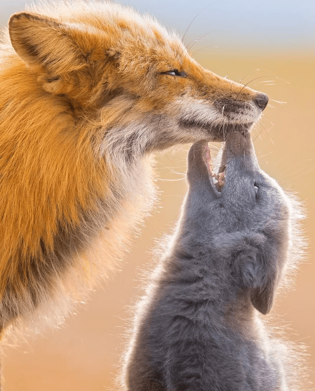 は*ち様 人生で幸福が再び訪れる⭐️ チバリズム@「幸せ物件」主演 (@throat_tansio) / Posts / X