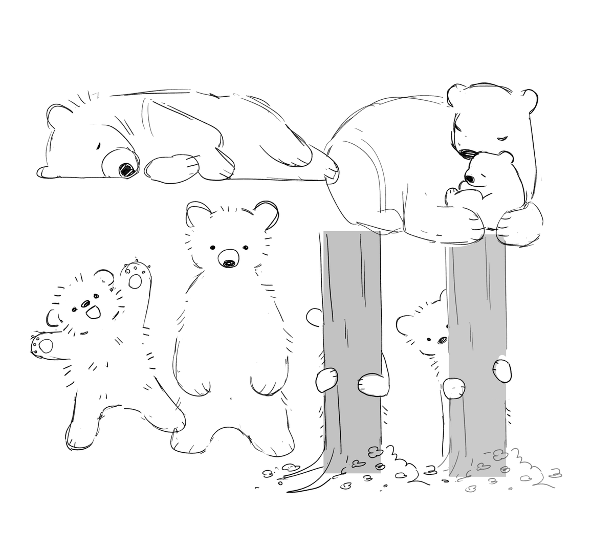 bear sketches.... 🐻🐻‍❄️🐼 