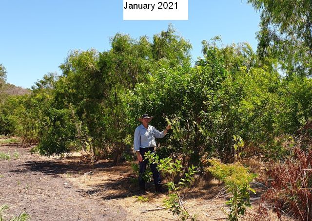 Mike_PHCC tweet media